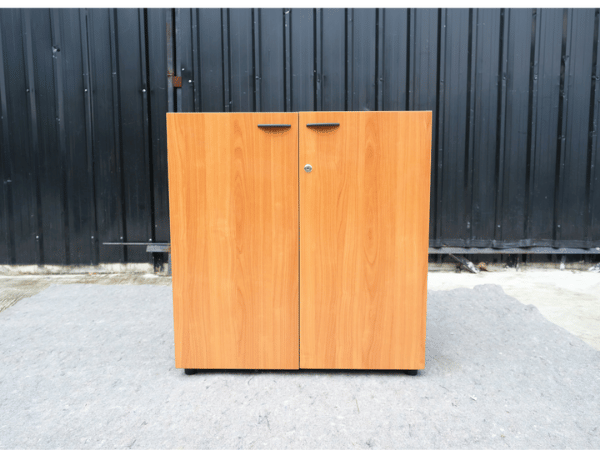 2-door file cabinet with space for storing things on the Rockworth cabinet.