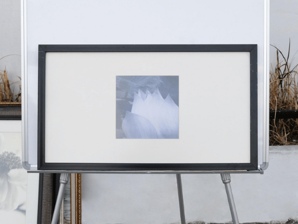 รูปภาพดอกบัว ขาว-ดำ กรอบไม้สีดำ