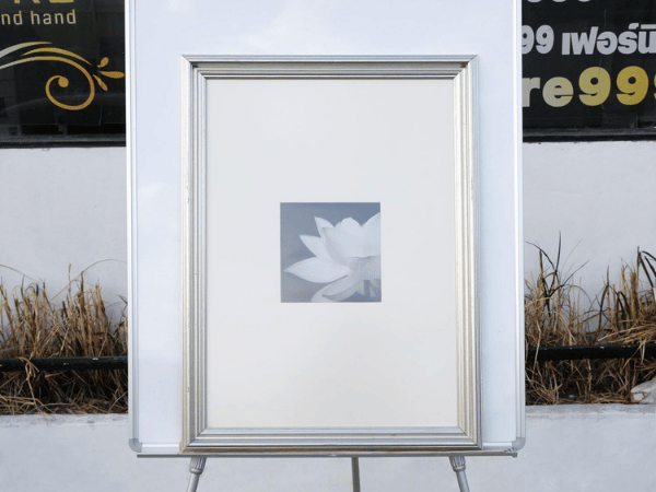 一朵盛开的莲花的图片，黑白，银框