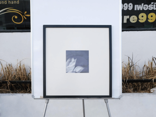 รูปภาพดอกบัวบาน ขาว-ดำ กรอบไม้สีดำ (10)