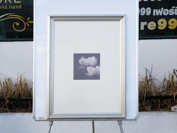 รูปภาพดอกบัวบาน 2 ดอก ขาว-ดำ กรอบสีเงิน